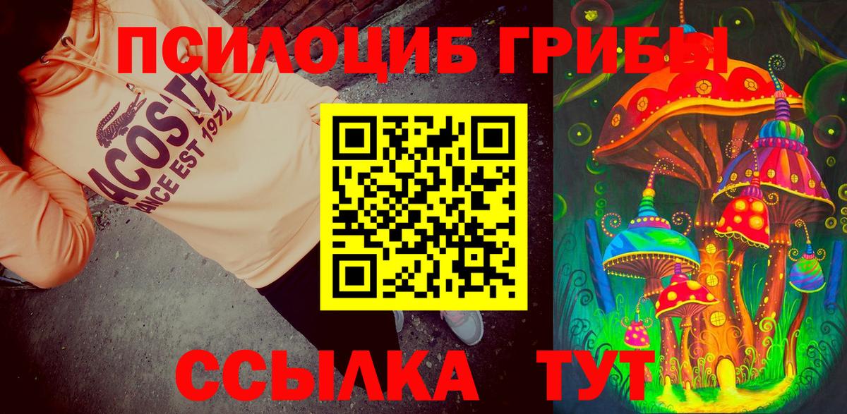 Кемерово  наркошоп  Вход с VPN  Галлюциногенные грибы MAGIC MUSHROOMS  Галлюциногенные грибы Cubensis 